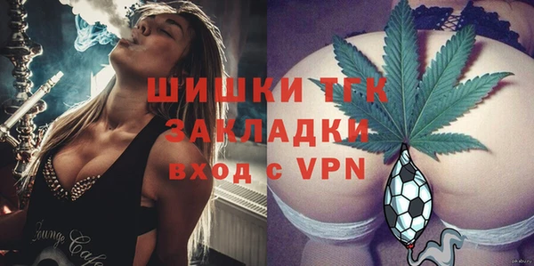 ECSTASY Богородицк