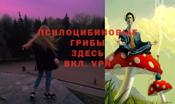 дурь Сосновоборск