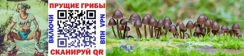 Псилоцибиновые грибы MAGIC MUSHROOMS  Фёдоровский 