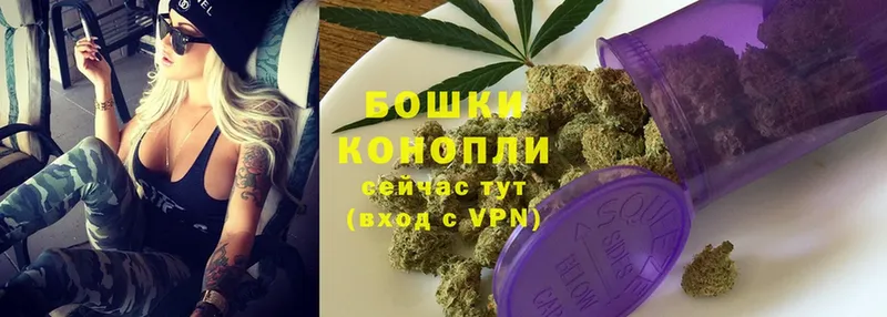 Шишки марихуана THC 21%  KRAKEN как зайти  Фёдоровский 